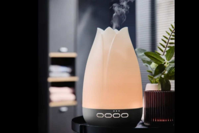 Offerta Lidl: prova subito il deumidificatore a meno di 15 euro