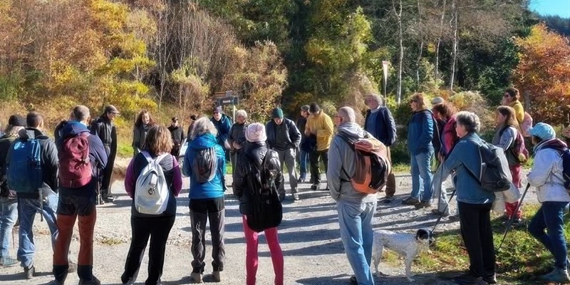 Richiesta di trasparenza e confronto sul progetto eolico di Croce a Mori