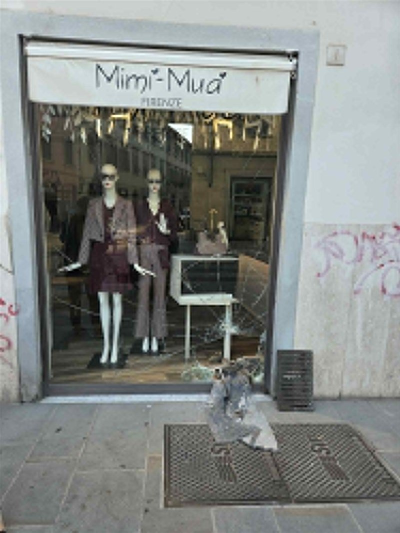 Collezione di spaccate