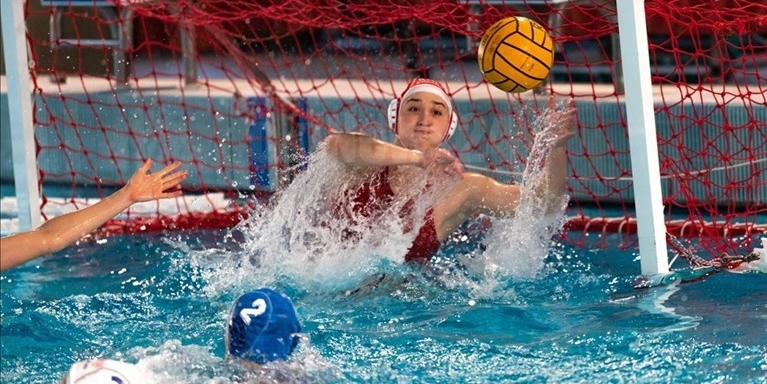 Una foto di gioco della passata stagione