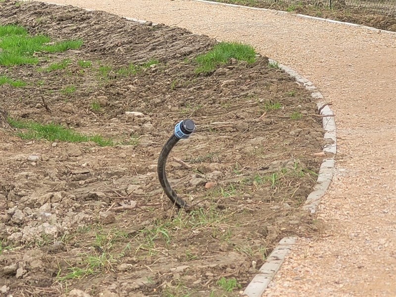 il giardino di via del Mezzetta