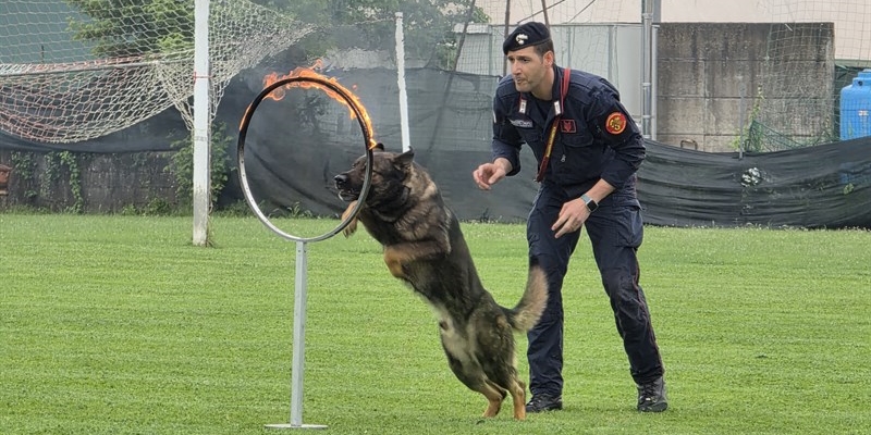 Unità Cinofile in azione