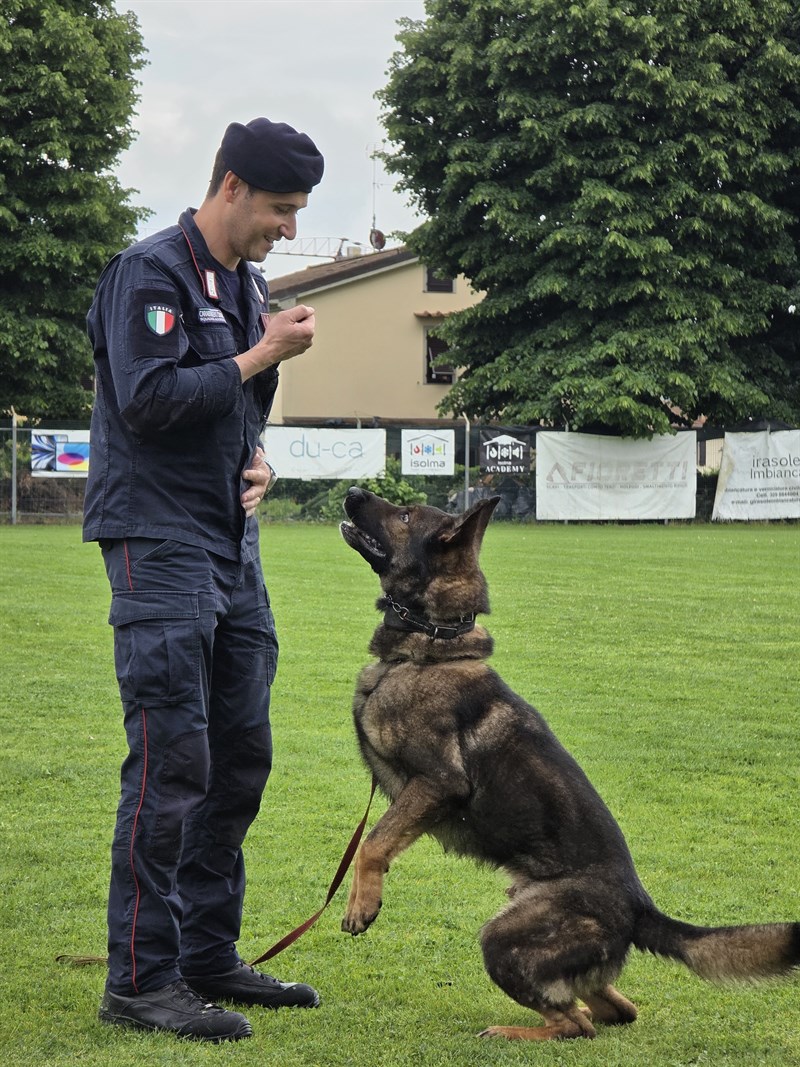 Unità Cinofile Carabinieri