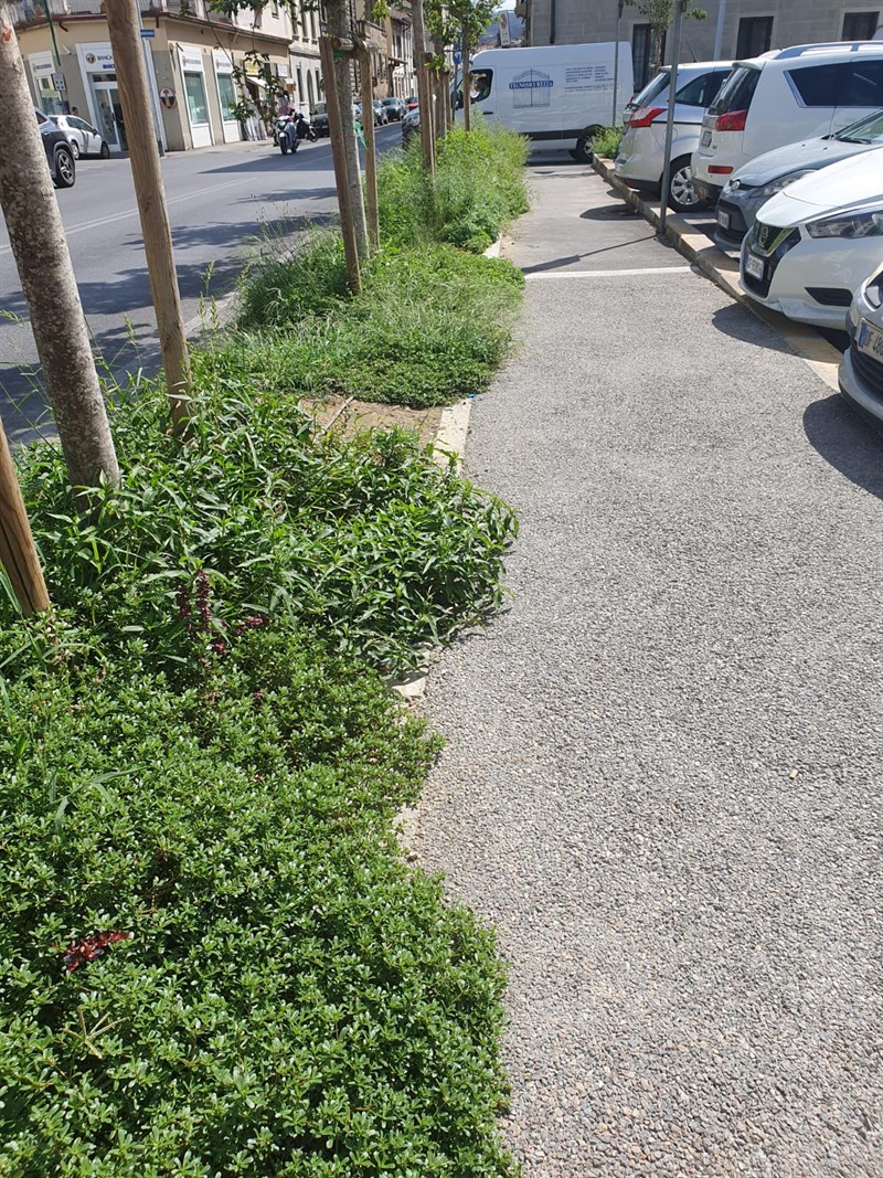 Alberi invece di posti auto