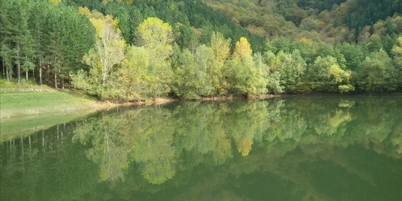 Tutto pronto a Rincine per l'inaugurazione del restauro forestale