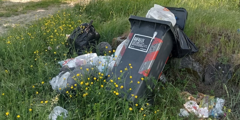 rifiuti lungo il lago di Bilancino