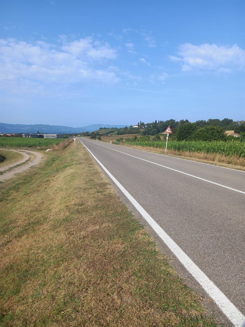 Il bellissimo lavoro dei volontari 