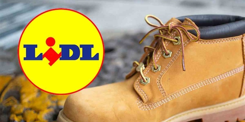 lidl timberland 28112025 okmugello.it