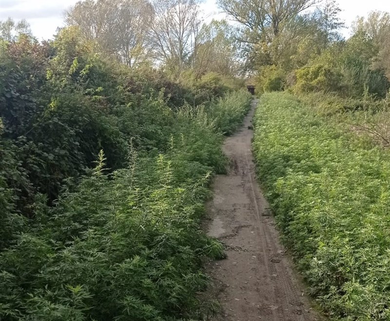 Le pessime condizioni della pista ciclabile tra Borgo e Vicchio