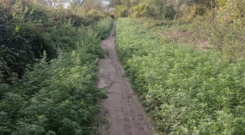 Le pessime condizioni della pista ciclabile tra Borgo e Vicchio