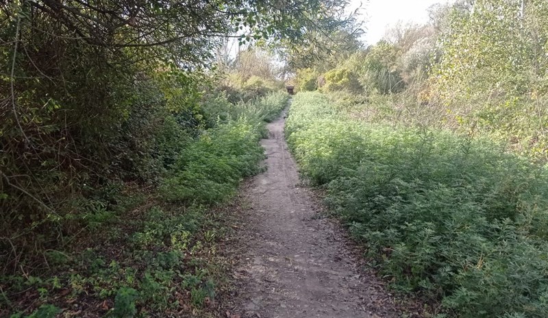 Le pessime condizioni della pista ciclabile tra Borgo e Vicchio