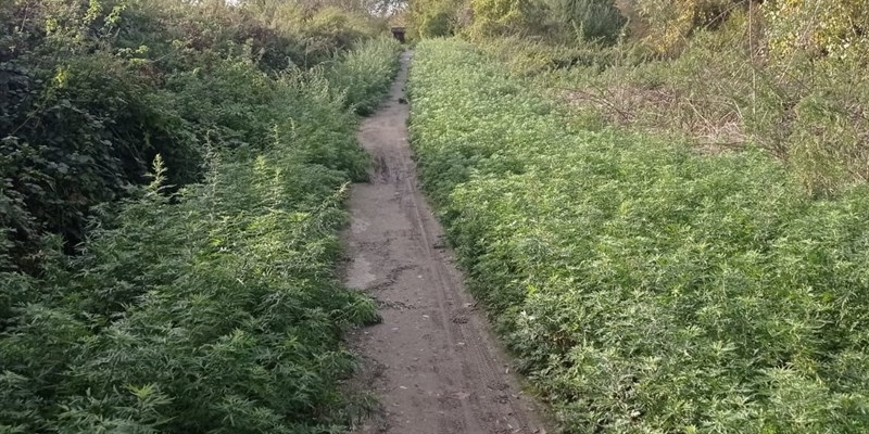 Pista Ciclabile Borgo Vicchio