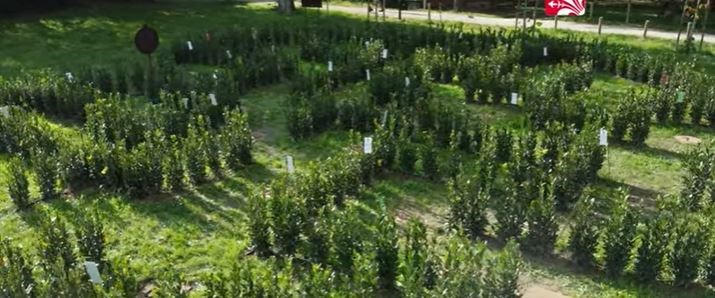 il labirinto dell'amore di Villa Favard