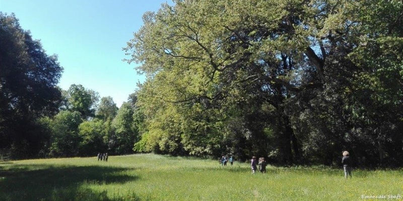 Il parco mediceo di Pratolino