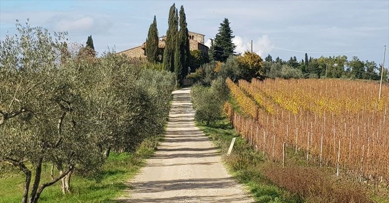 sentieri in Chianti