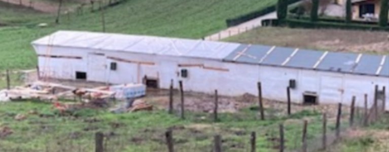 IL grande pollaio in via Mirandola a Vicchio