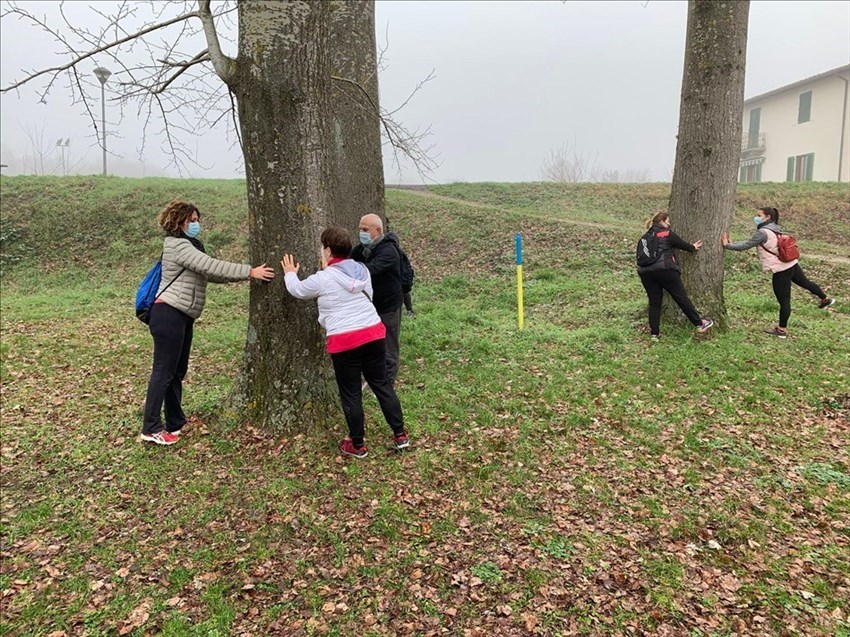 L'attività durante il Fitwalking
