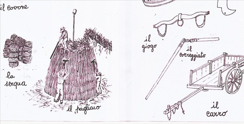 Oggetti agricoli in alcuni disegni dell'autrice