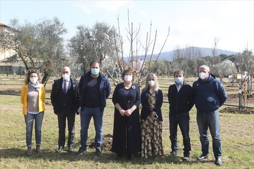 il bosco dei bambini