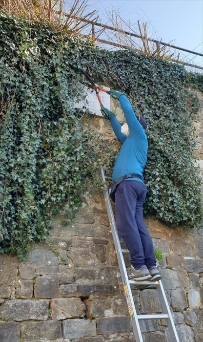 i volontari al lavoro