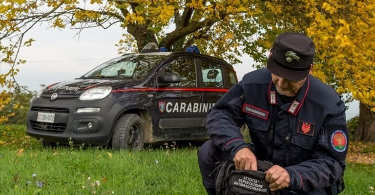 Carabinieri Forestali