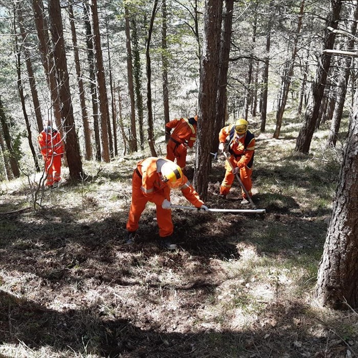 Le foto dell'esercitazione