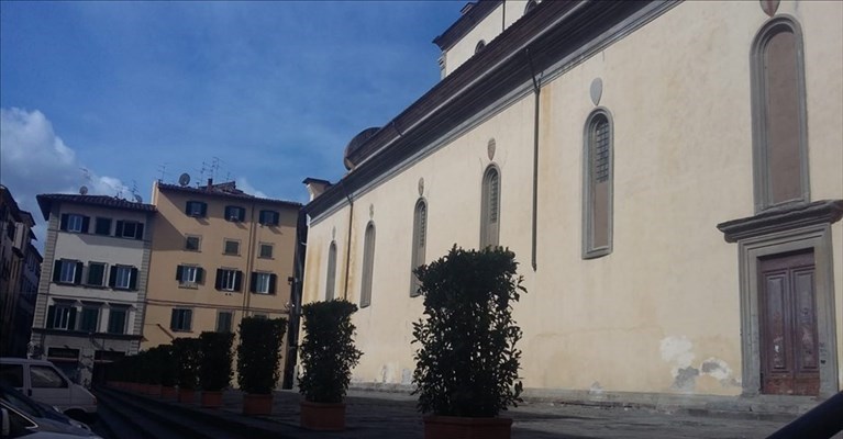 le piante a delimitare la basilica