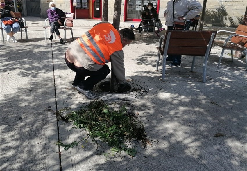 Una mattinata in piazza San Jacopino