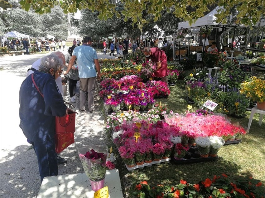 La fiera dei Fiori