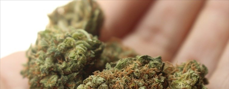 spaccio di marijuana