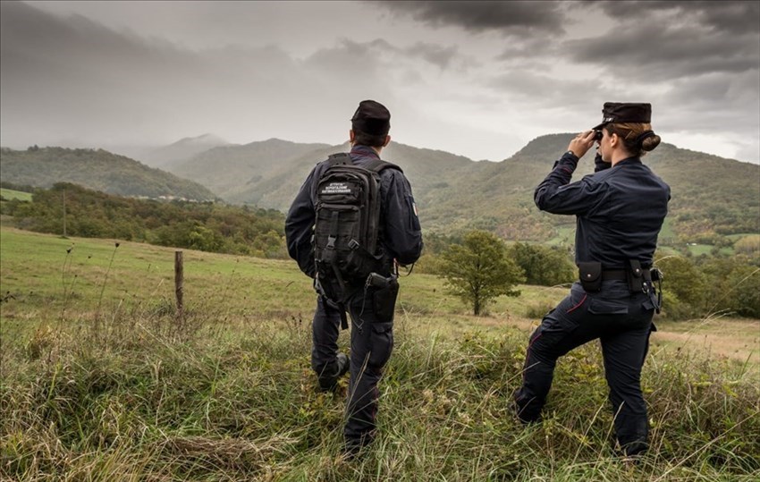 Forestali in azione