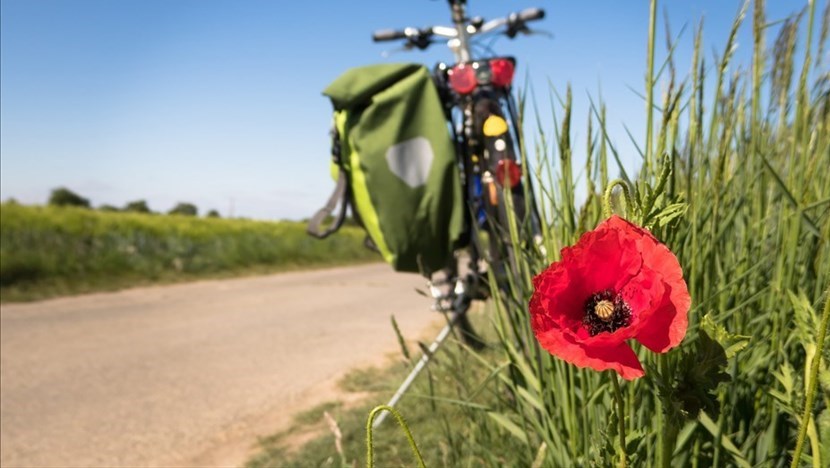 Pista ciclabile