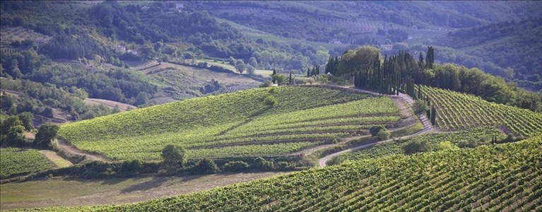 il paesaggio del Chianti Classico