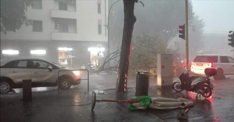 l'albero caduto in viale dei Mille