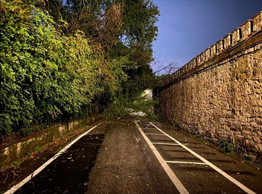 via dei Bastioni