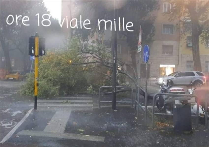 Viale dei Mille