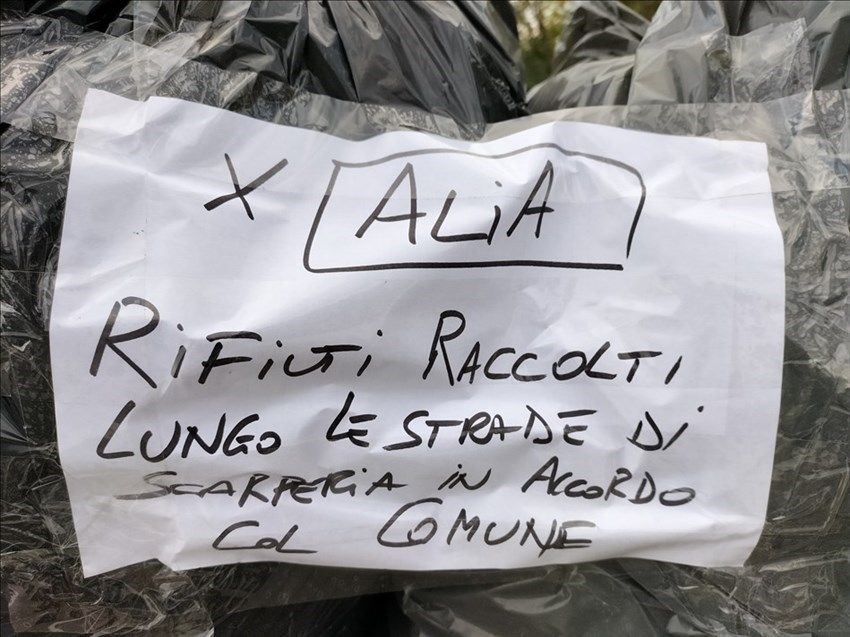 Le immagini della raccolta