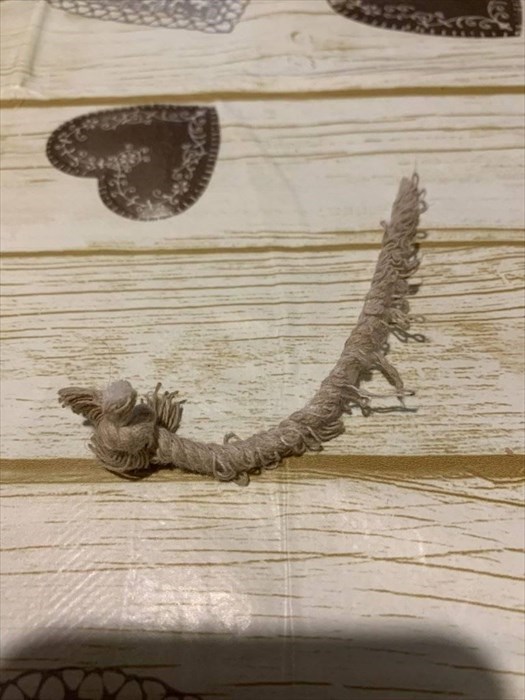 La corda che il gattino aveva al collo