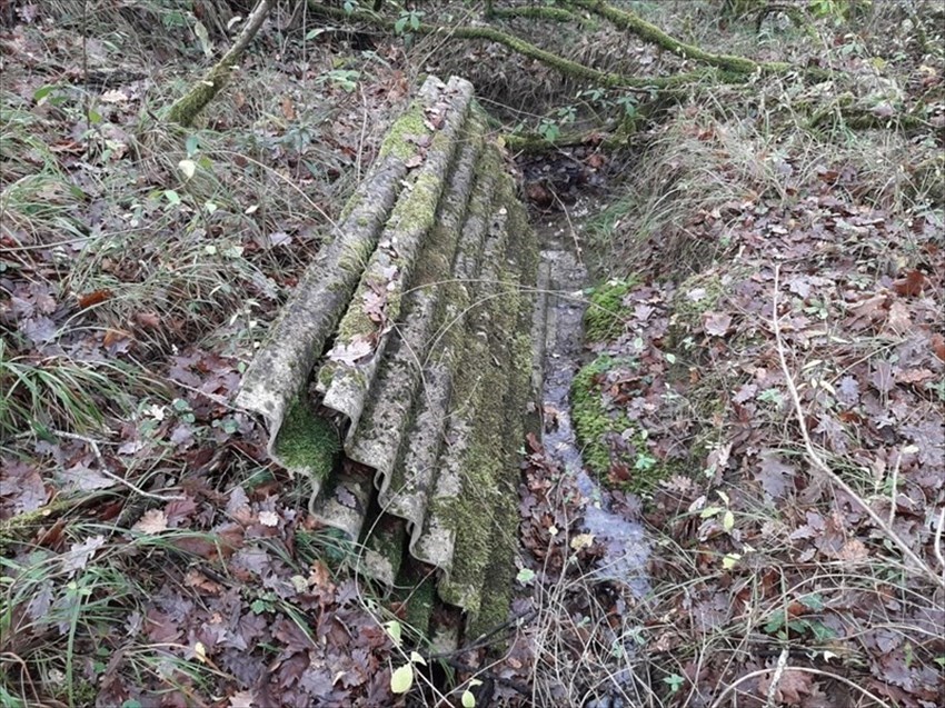 Le foto del  nostro lettore