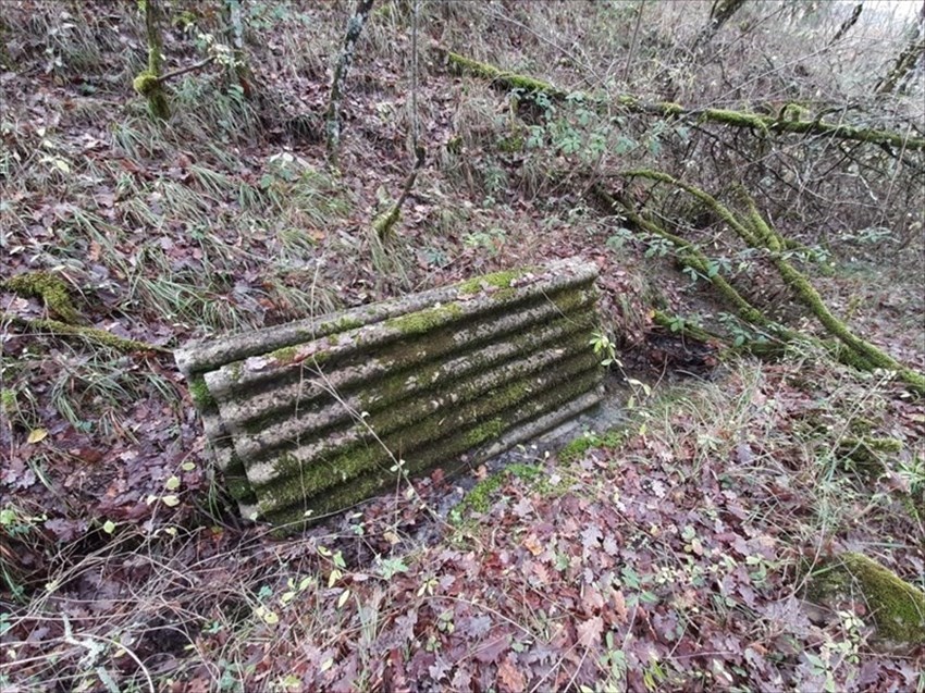 Le foto del  nostro lettore