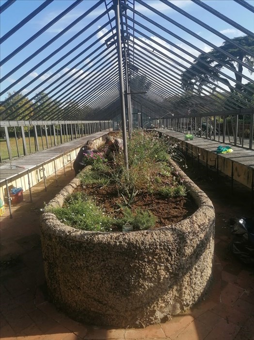 particolare dell'interno della serra grande oggi