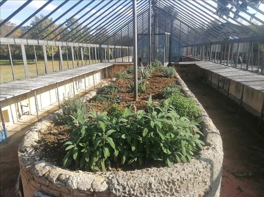 il recupero della serra grande, la vasca delle piante aromatiche