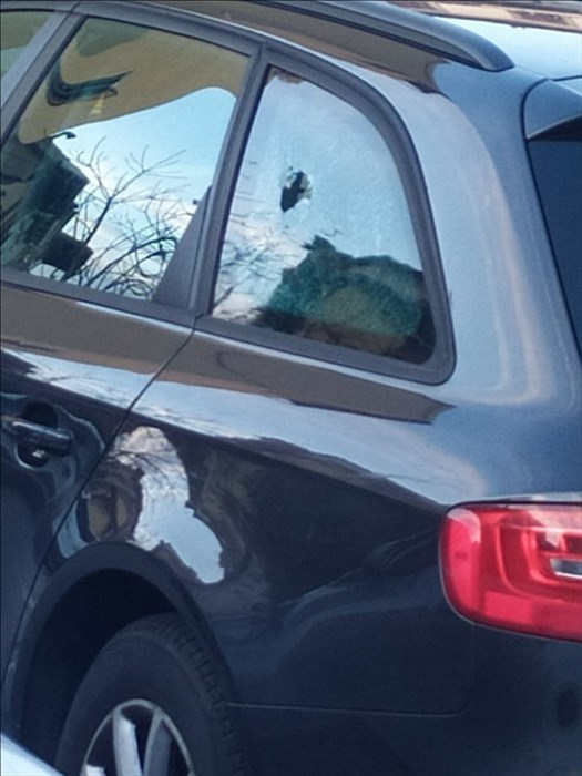 Comitato san jacopino