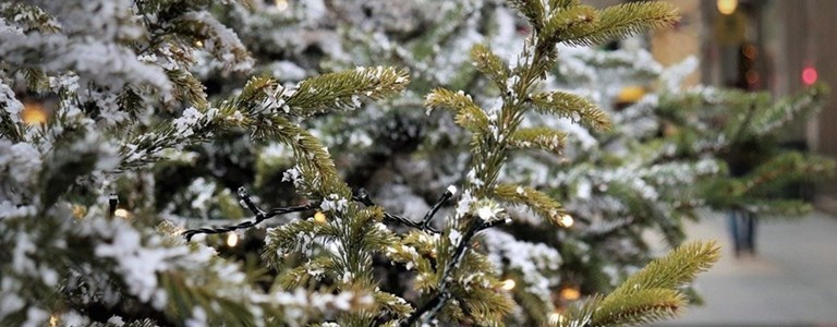 Albero di Natale