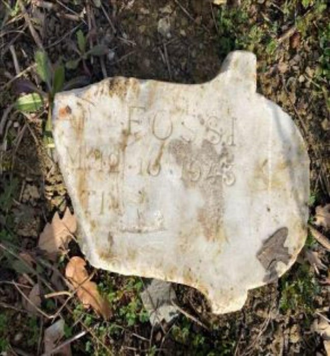 la macabra scoperta nel bosco accanto al cimitero di Trespiano