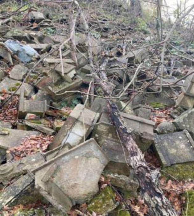 la macabra scoperta nel bosco accanto al cimitero di Trespiano