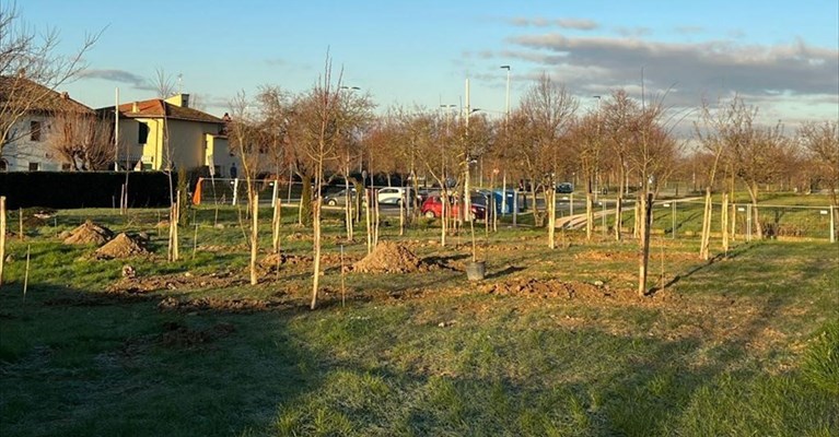 il nuovo parco di San Bartolo a Cintoia