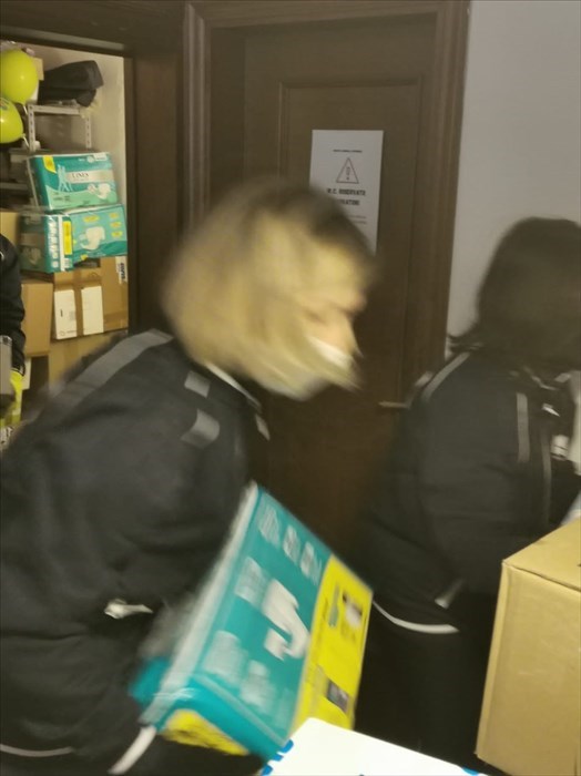 I materiali raccolti