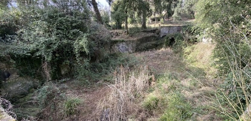 Una immagine di una zona del parco inviata dal consigliere Gandola