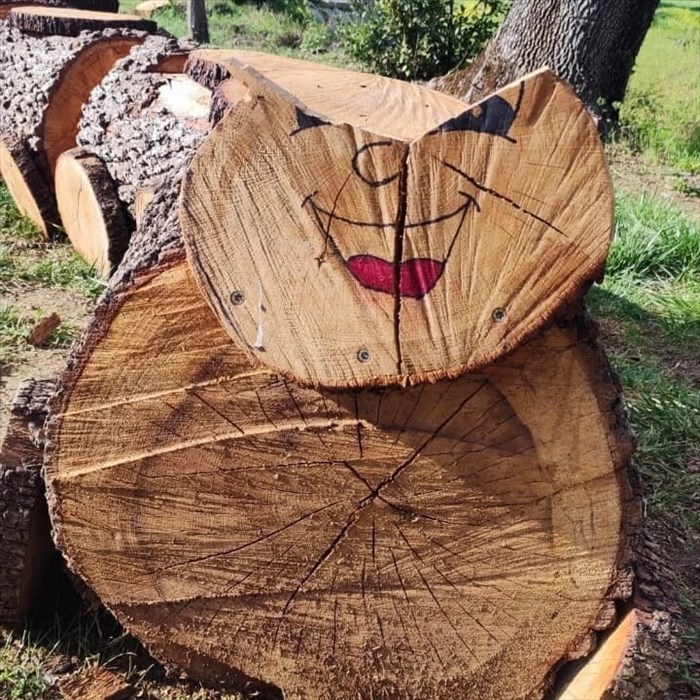 il recupero opera di Clarissa Urena